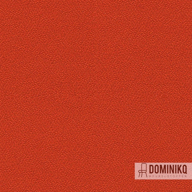 Camira - Lucia - YB087 - Lobster