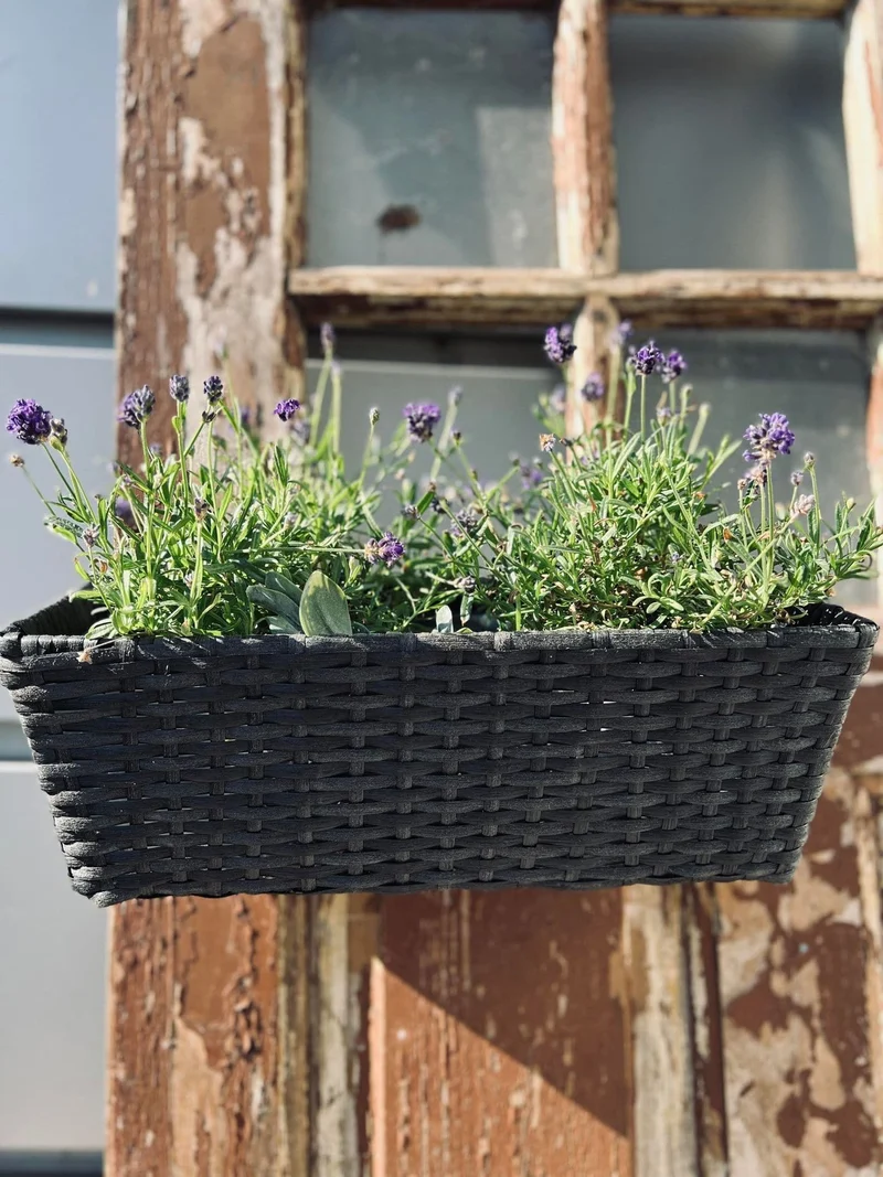 Balkonkasten aus schwarzem Geflecht - 40 cm