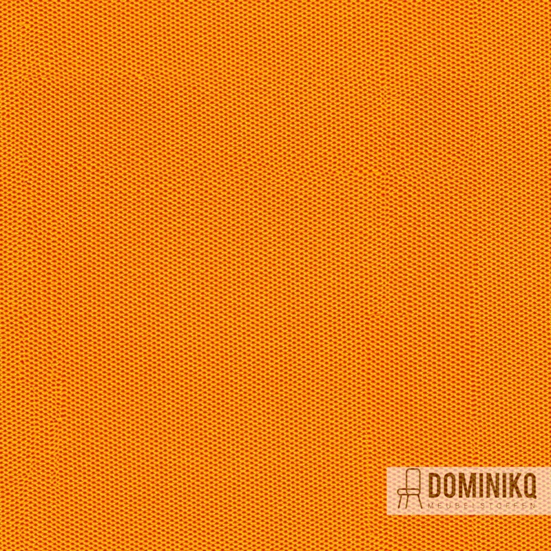 Camira Fabrics - Sprint - PS015 - Gold