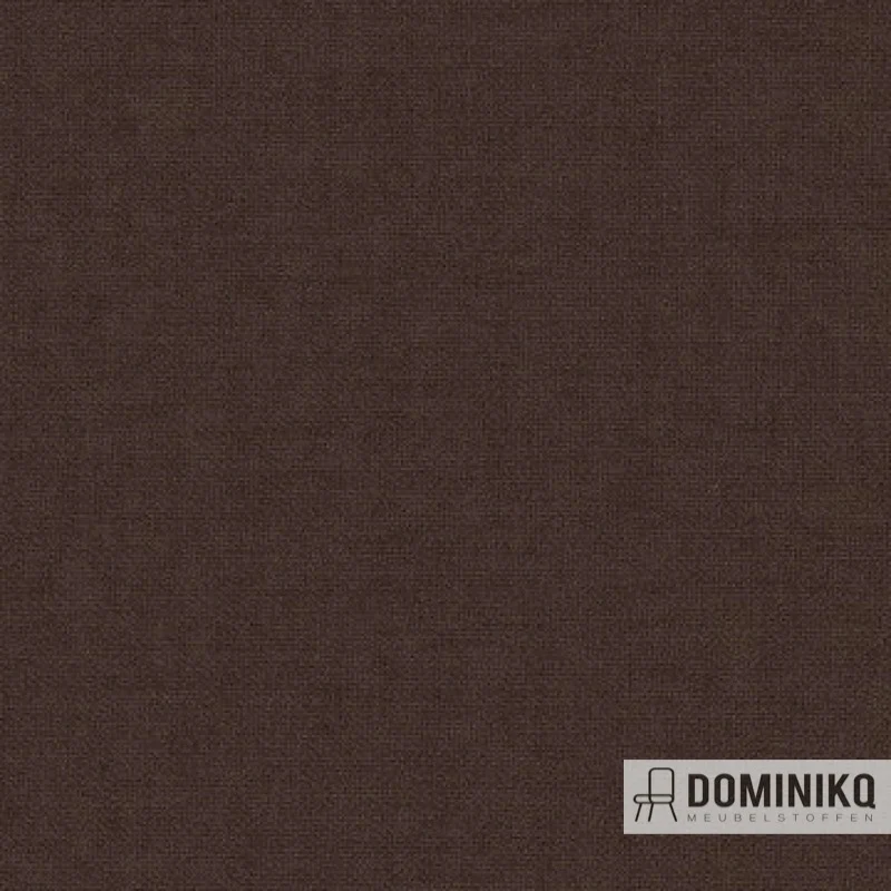 Aristide - Arthur II - 255 Mocha