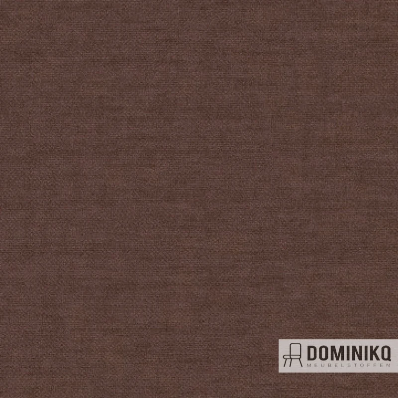 Aristide - Arthur II - 270 Chocolate