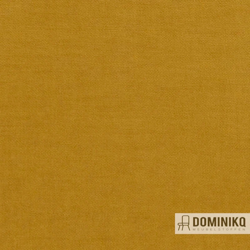 Aristide - Arthur II - 350 Ocher