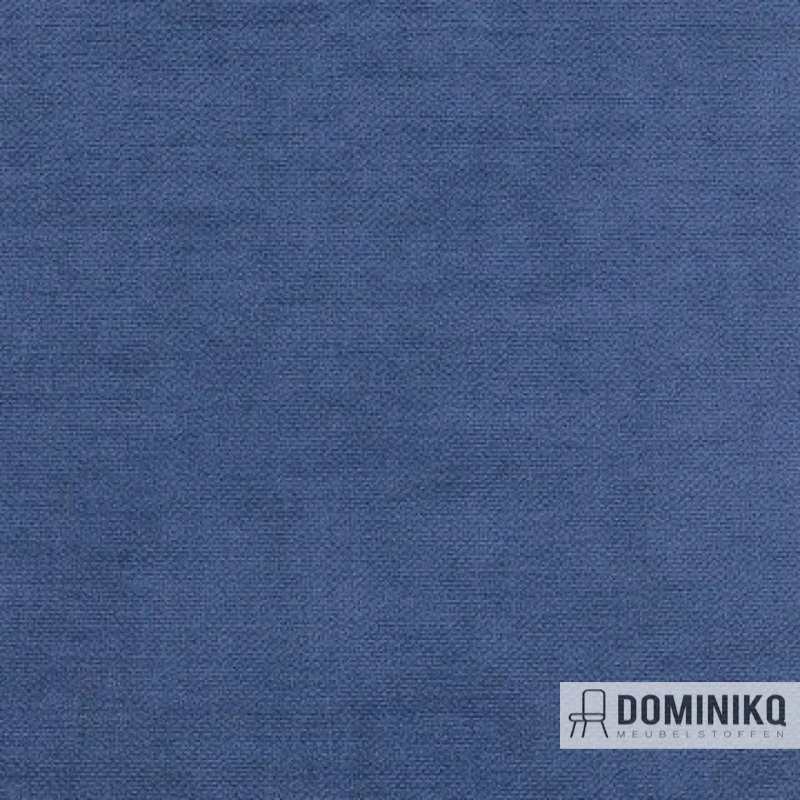 Aristide - Arthur II - 651 Jeans