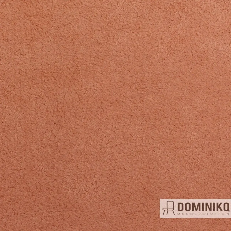 Vyva Fabrics - Dinamica - 1035 - Aprikose