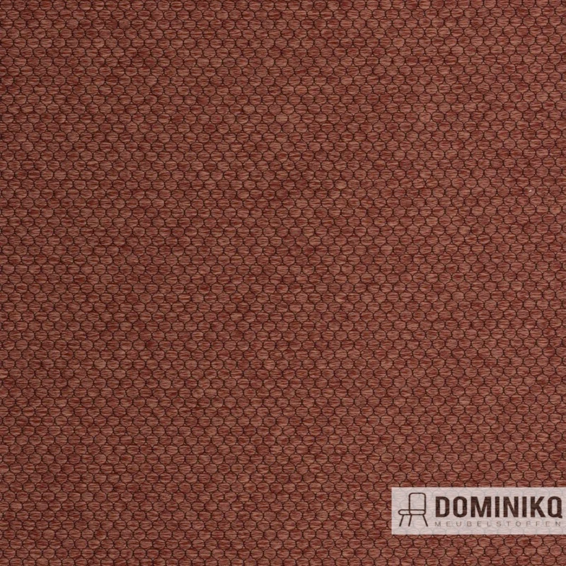 Agua - Pearl - PEARL20 – Zimt