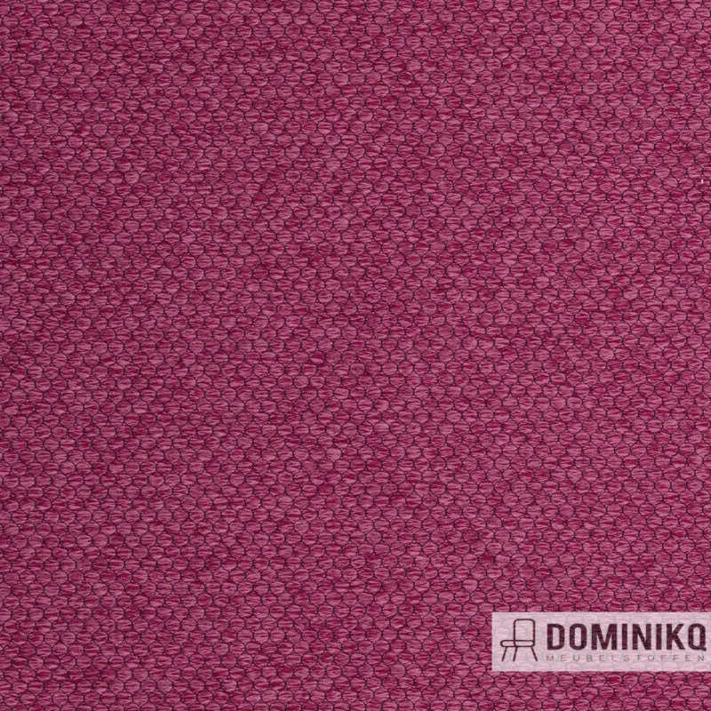 Agua - Pearl - PEARL24 - Plum