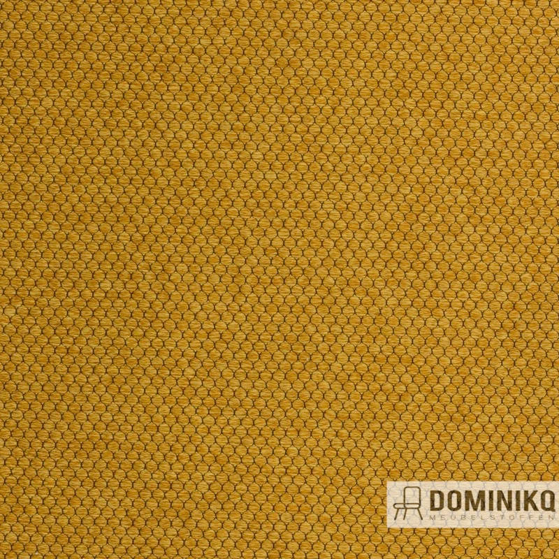 Agua - Pearl - PEARL17-Gold