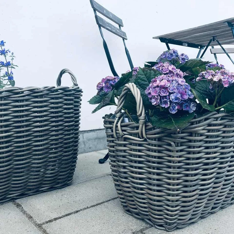 Pflanzenkorb aus Rattan - Klein
