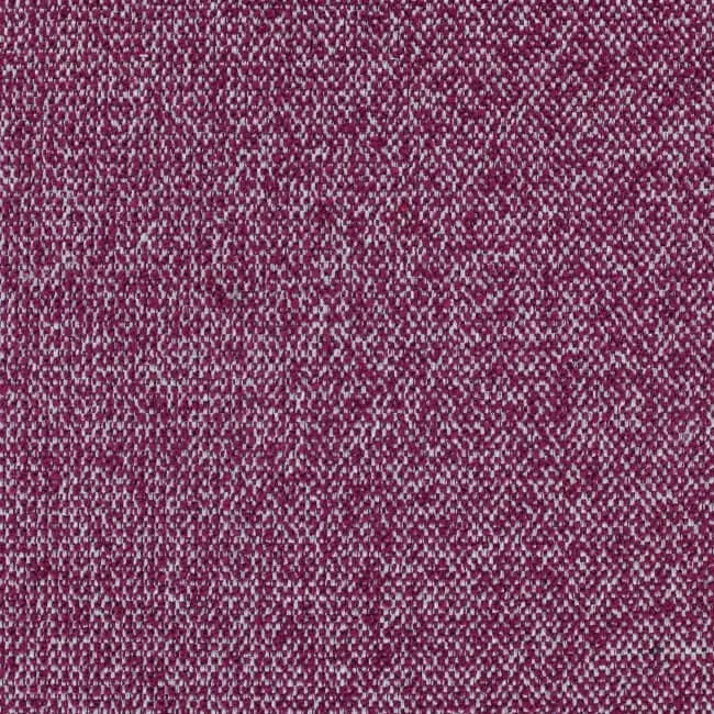 Aristide - Remus - 590 Eggplant