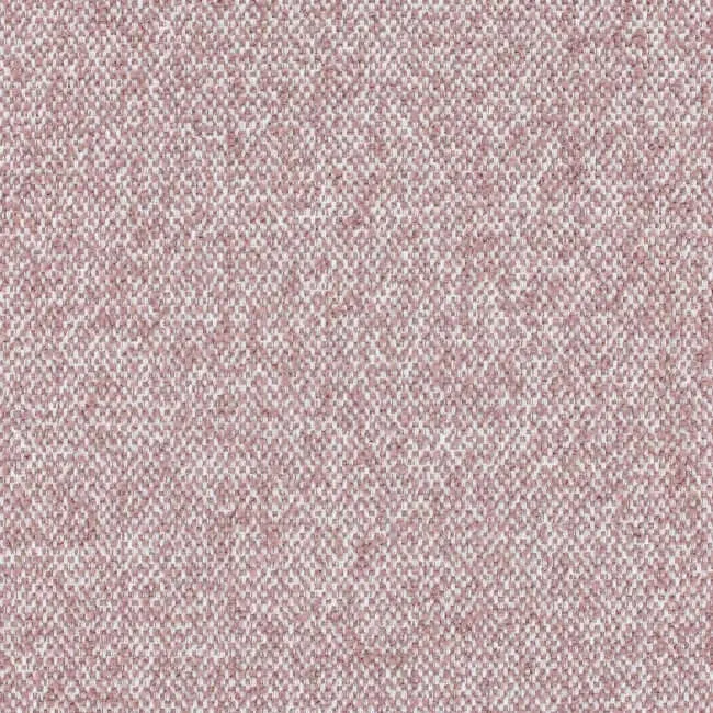Aristide - Remus - 500 Rosenstaub