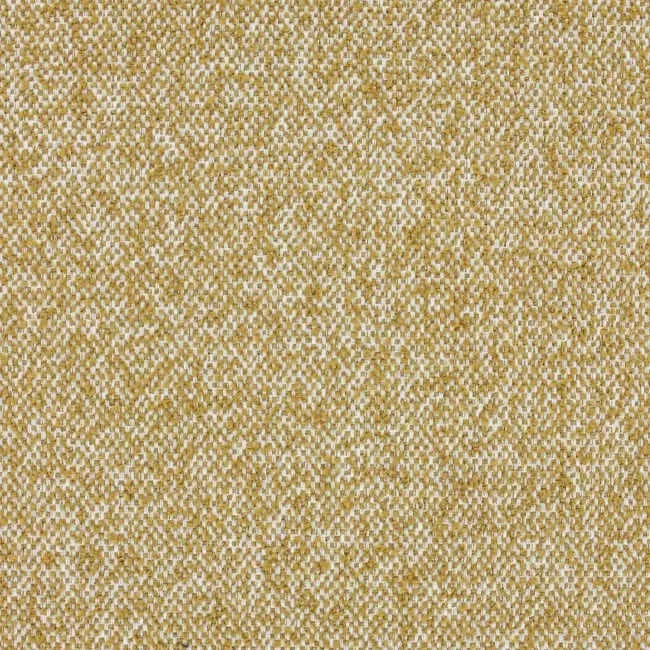 Aristide - Remus - 350 Ochre