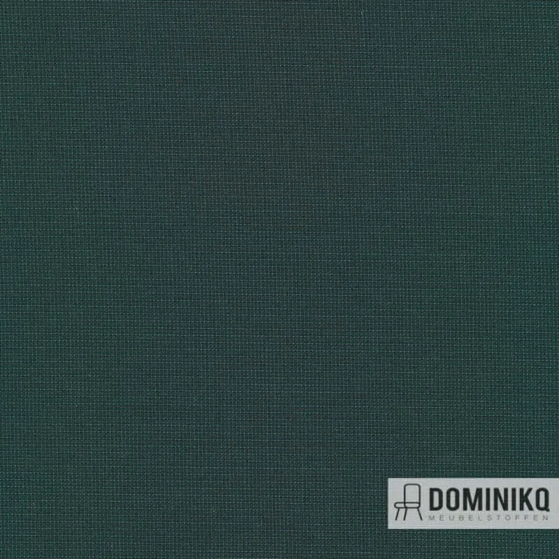 Kvadrat - Naveli -973