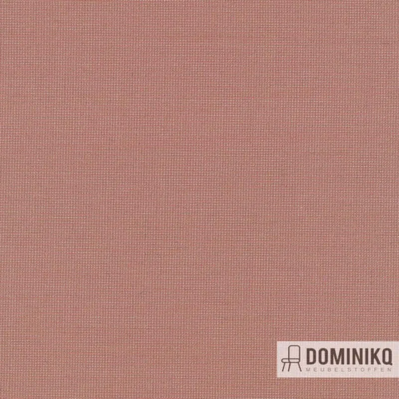Kvadrat - Naveli -643
