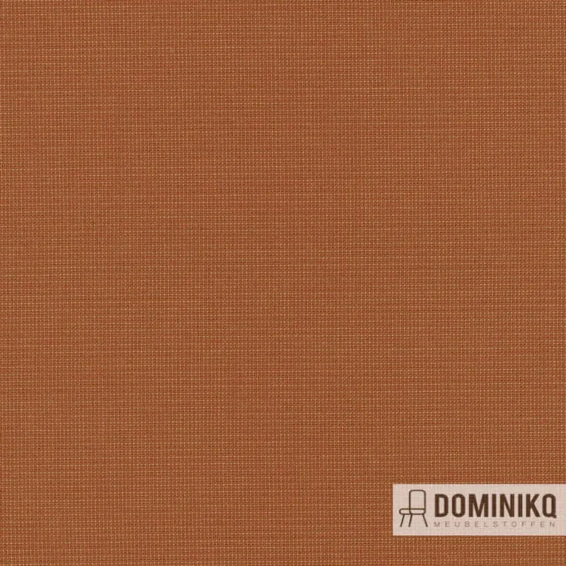 Kvadrat - Naveli -453