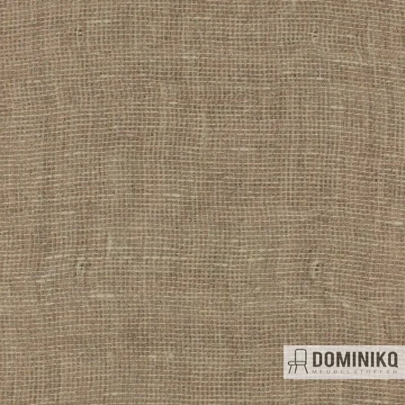 Aristide - Blink -226 Bronze
