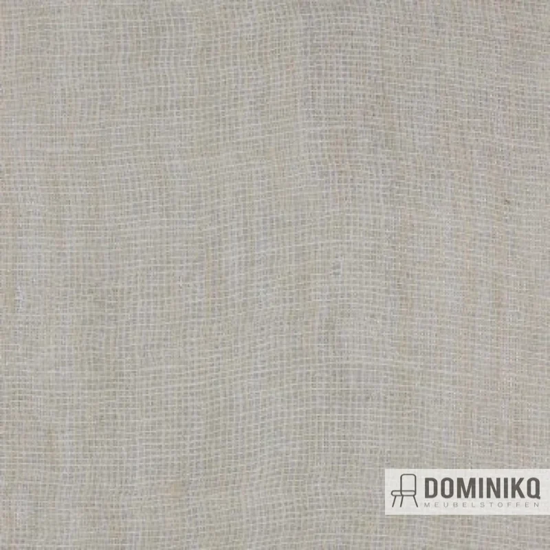 Aristide - Blink - 215 Champagne