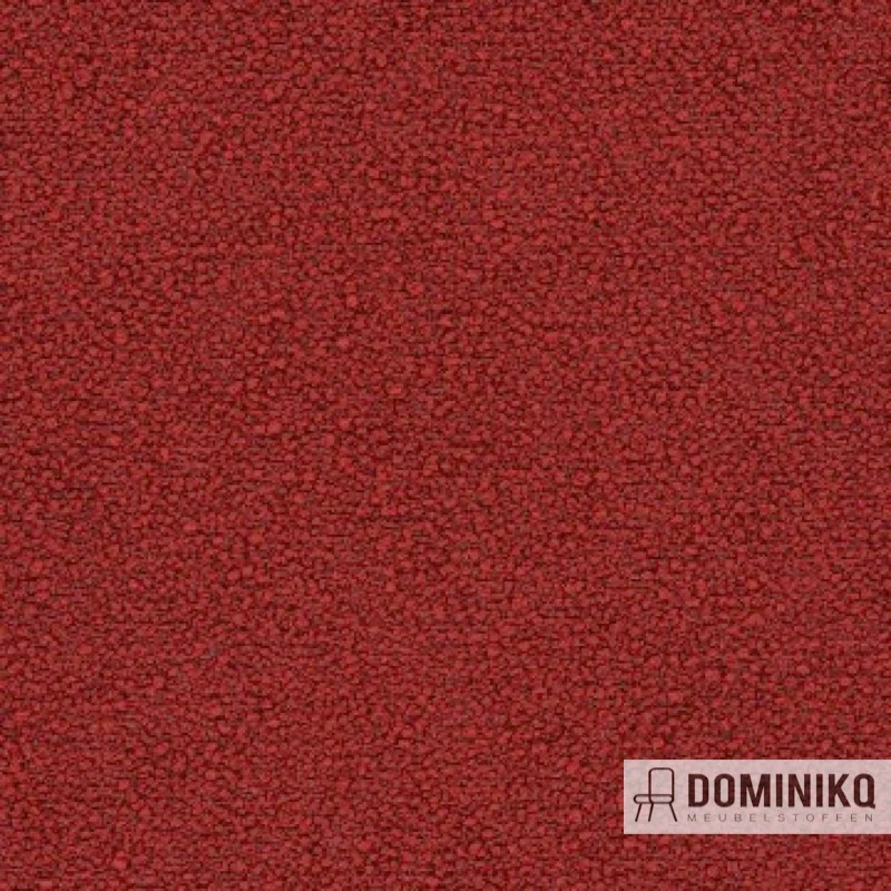Aristide - Bobby - 410 Coral
