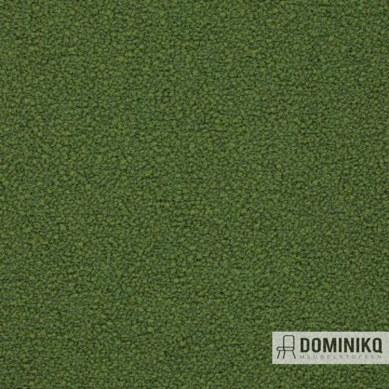 Aristide - Bobby -781 Moss