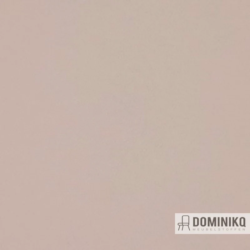 Aristide - Buck - 110 Dove