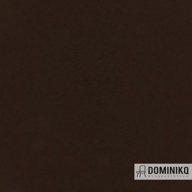 Aristide - Buck - 270 Chocolate