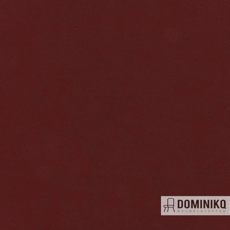 Aristide - Buck - 545 Ruby
