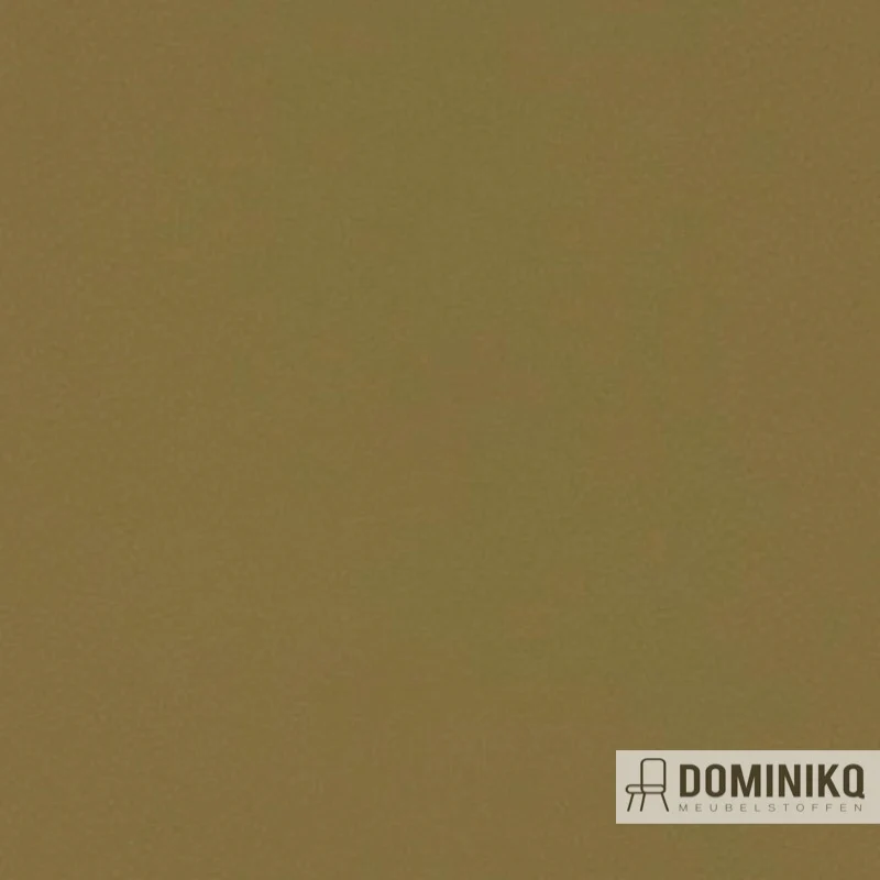 Aristide - Buck -765 Olive