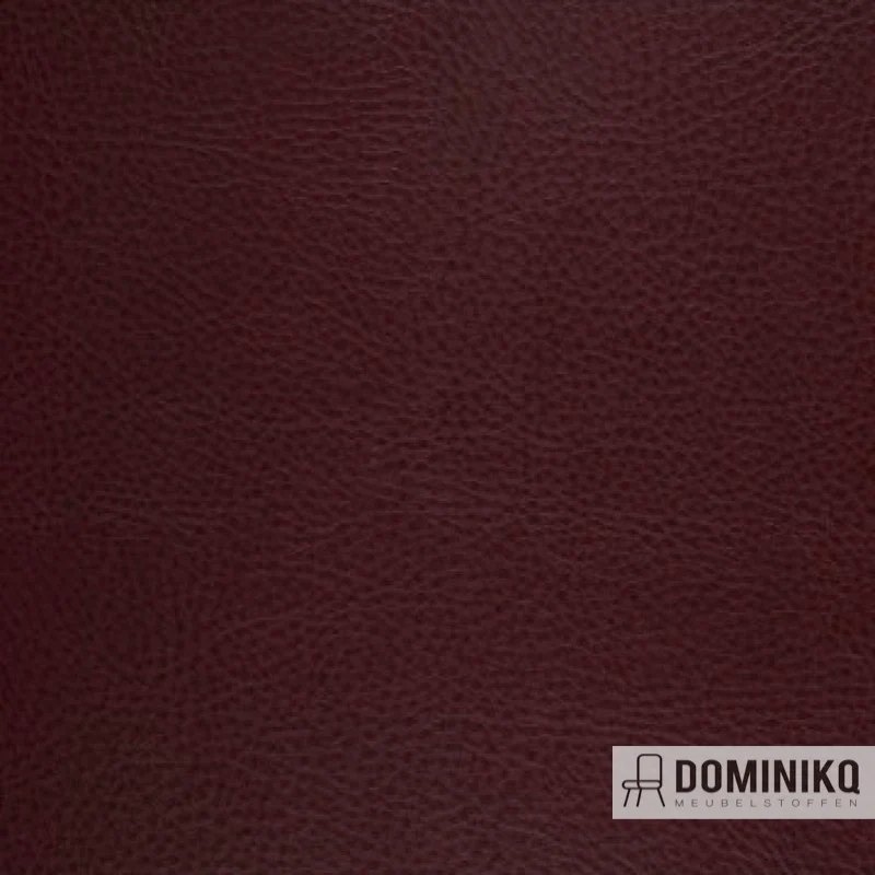 Aristide - Cabro - 04 Burgund
