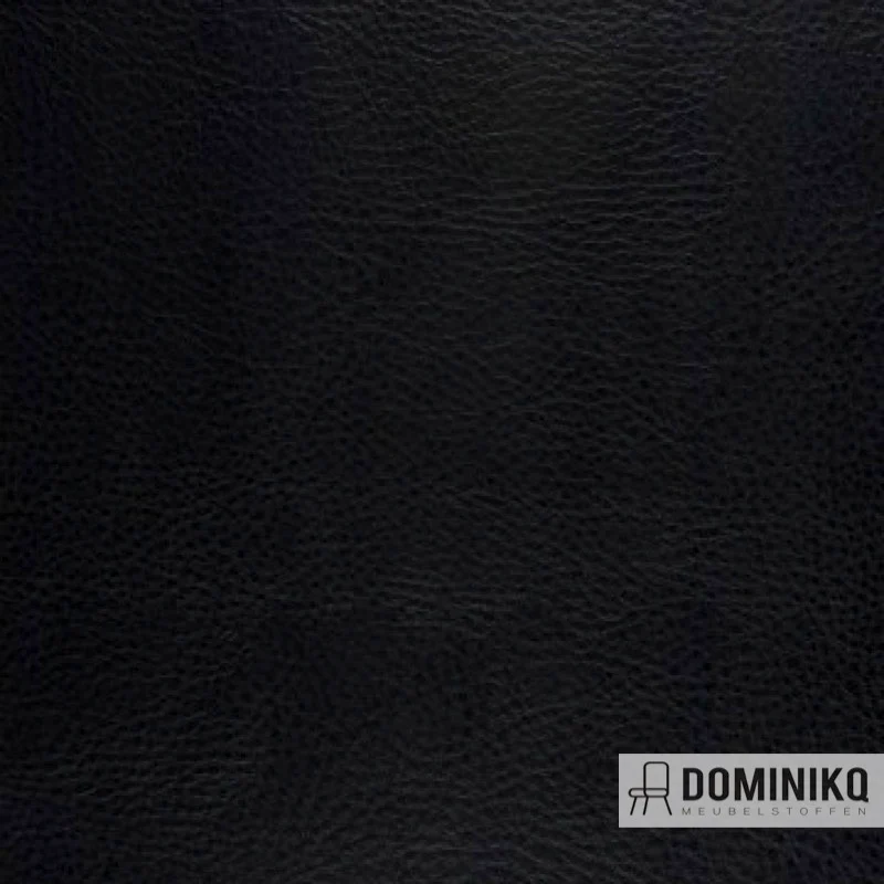 Aristide - Cabro -06 Black