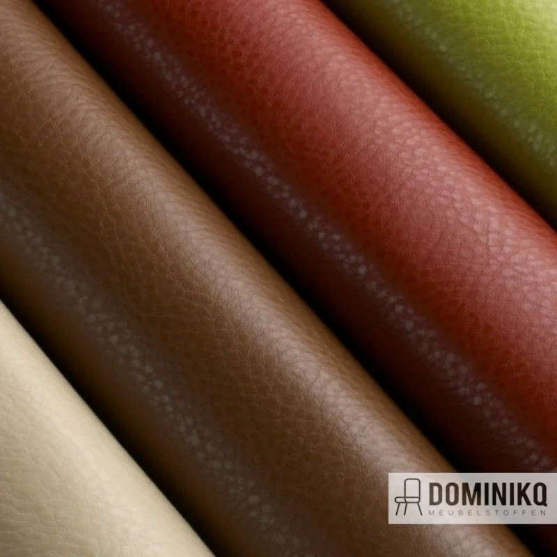 Aristide - Cabro - 18 Putty