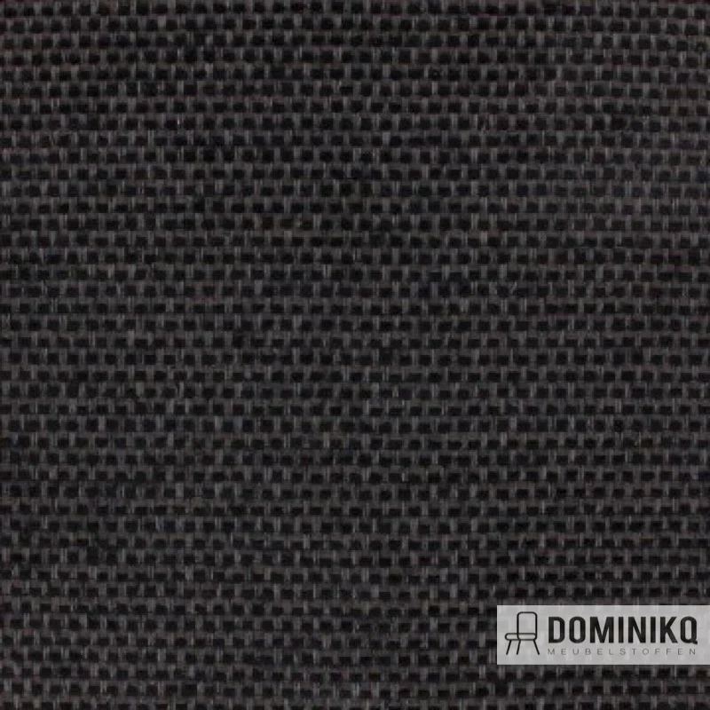 Aristide - Cäsar - 199 Black