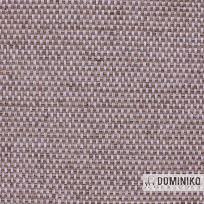 Aristide - Cesar - 255 Mocha