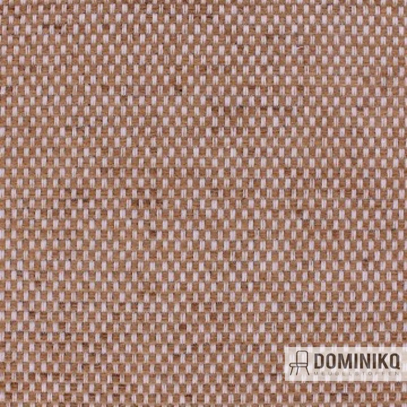 Aristide - Cäsar - 266 CaraHonig