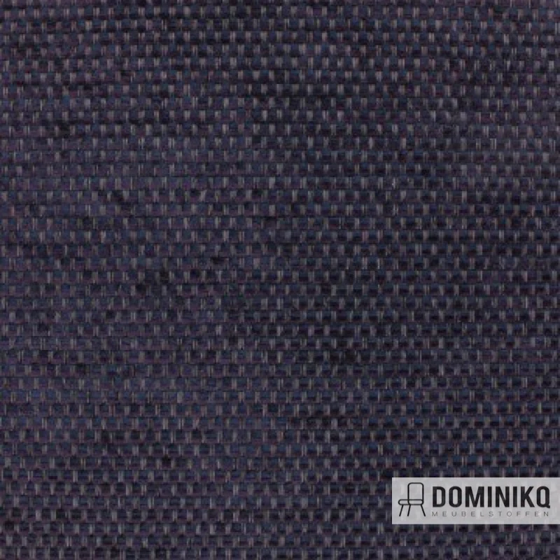 Aristide - César - 590 Aubergine