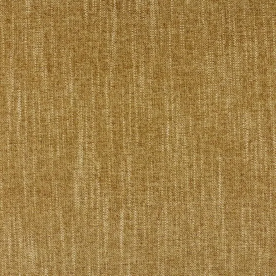 Aristide - Daily - 225 Hazel