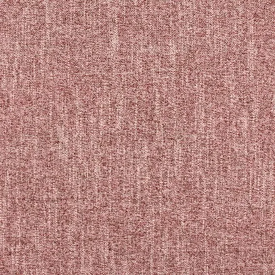 Aristide - Daily - 500 Rosenstaub