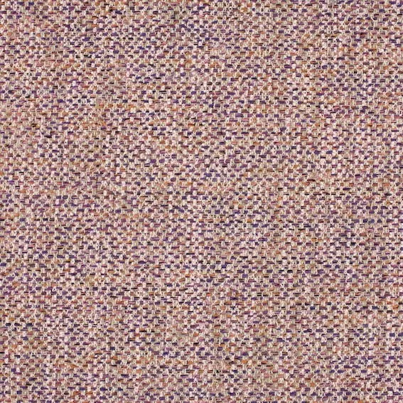 Aristide - David - 585 Violet