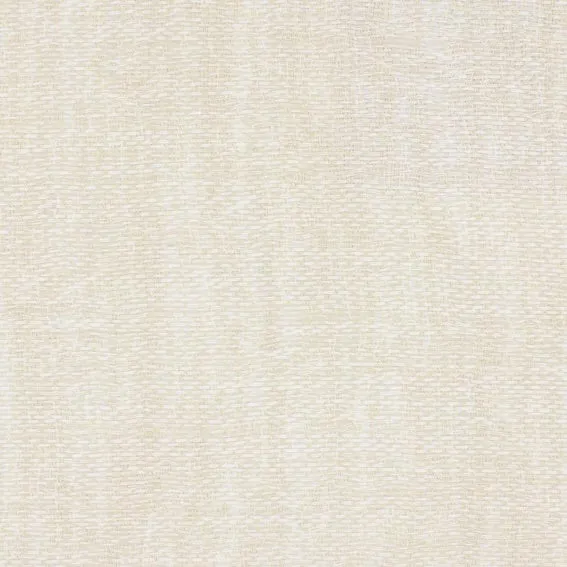 Aristide - Demi - 215 Champagne