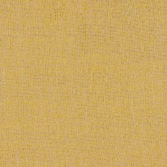 Aristide - Demi - 310 Butterblume