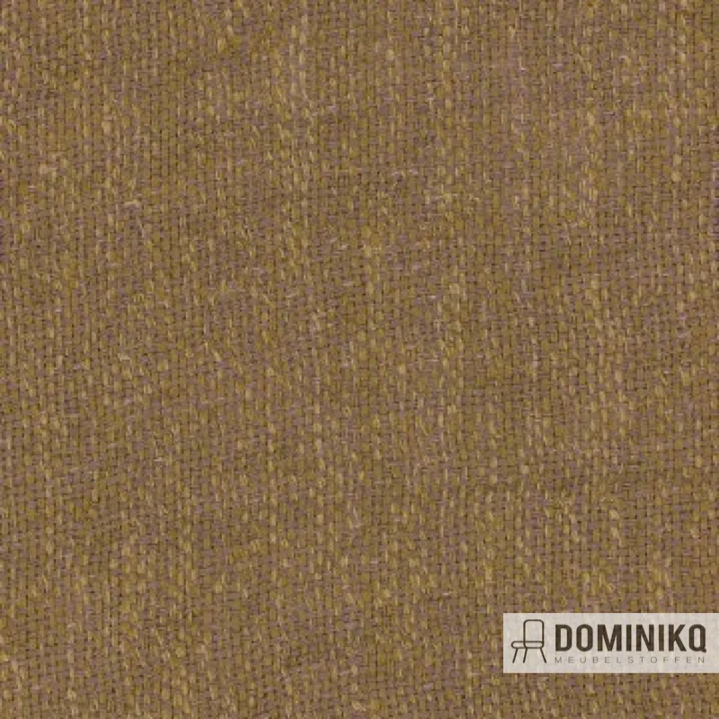 Aristide - Demi - 765 Olive
