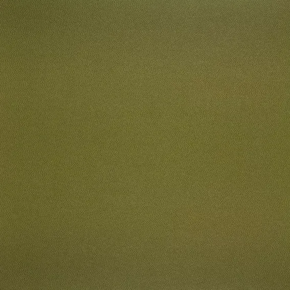 Aristide - Galucha - 10 Lime