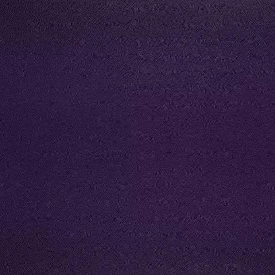 Aristide - Galucha - 11 Purple