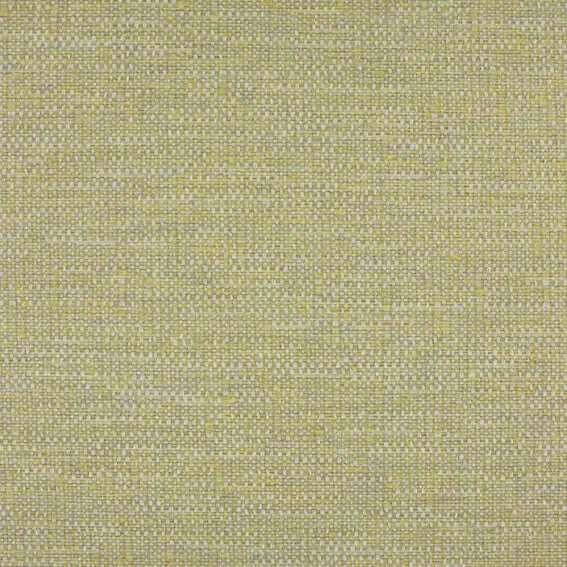 Aristide - John - 310 Buttercup