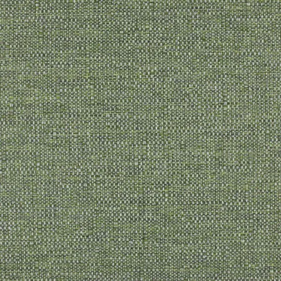 Aristide - John -765 Olive