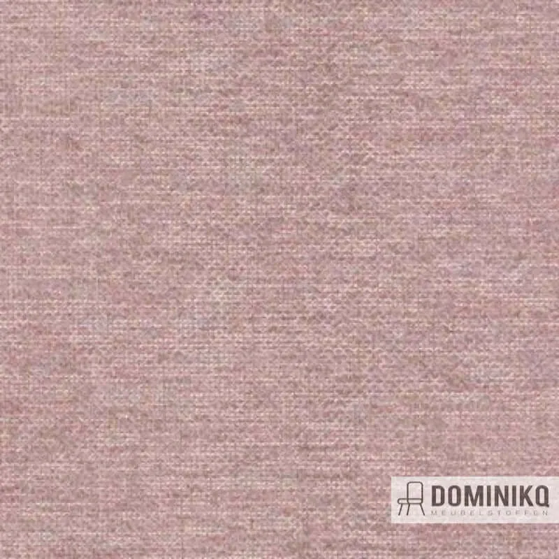 Aristide - Louis - 500 Rose Dust