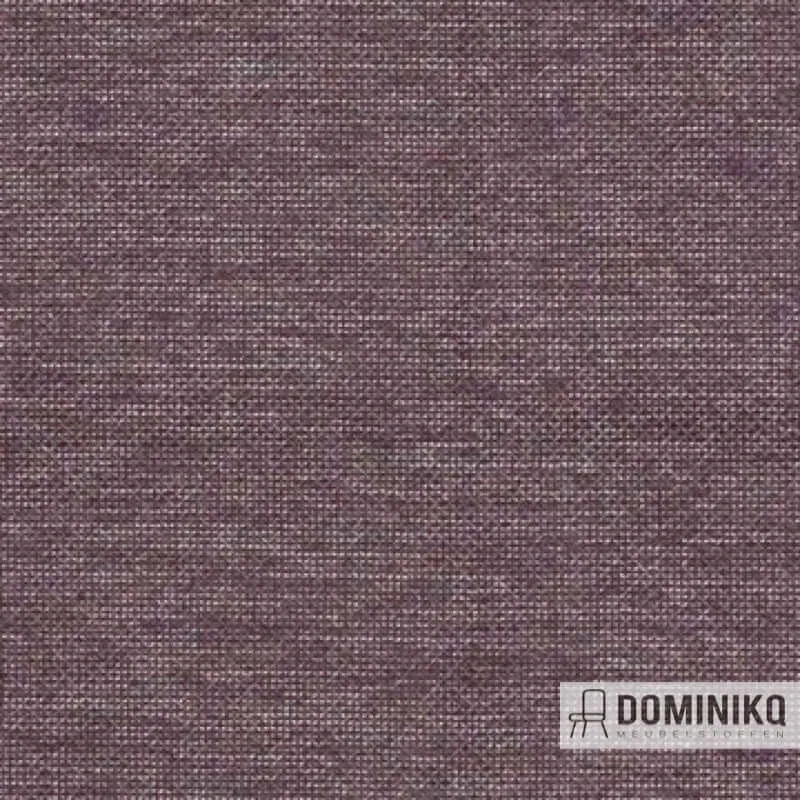 Aristide - Louis - 565 Lavender