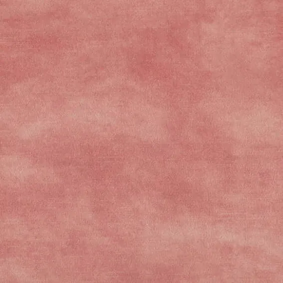 Aristide - Markle - 400 Salmon