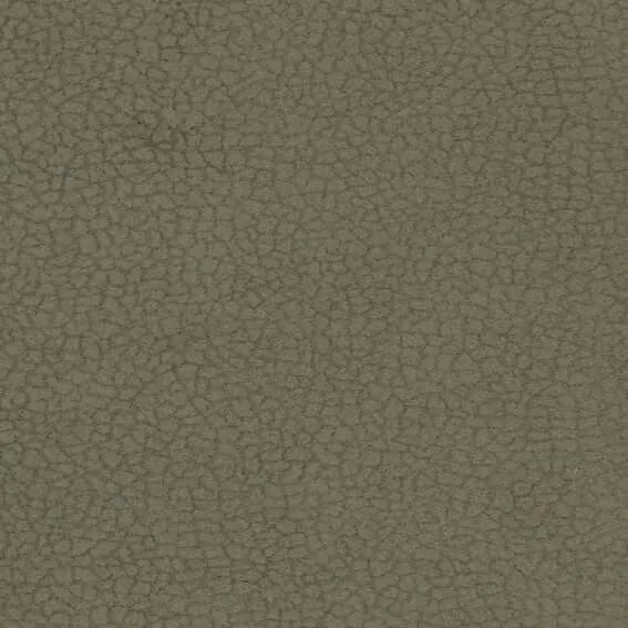 Aristide - Miles -765 Olive
