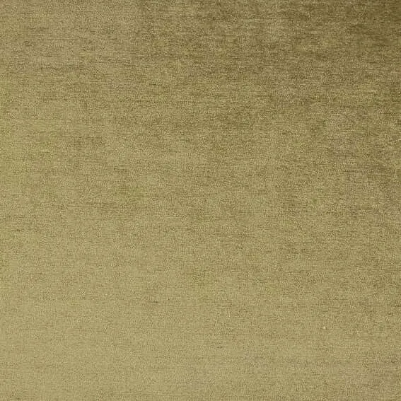 Aristide - Napoleon - 330 Gold