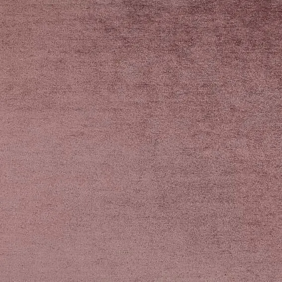 Aristide - Napoleon - 509 Old Rose