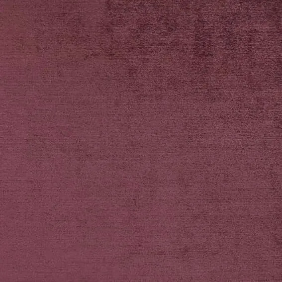 Aristide - Napoleon - 500 Rosenstaub